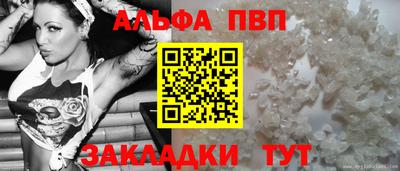 дмт Гай