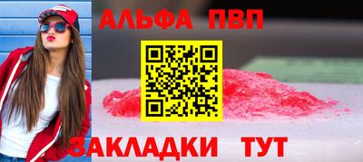 дмт Гай