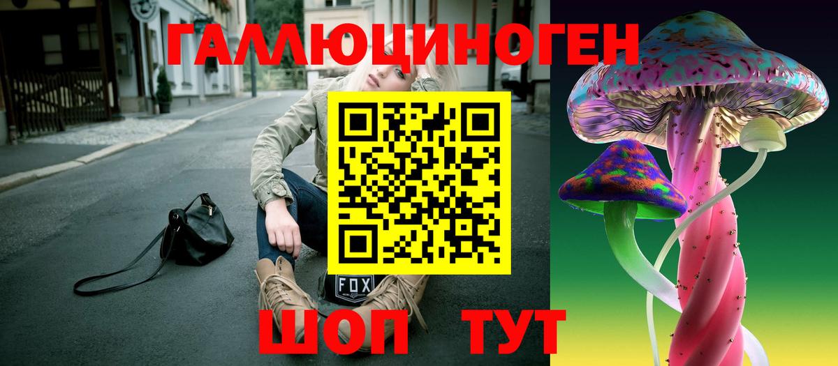 Псилоцибиновые грибы Cubensis Новочеркасск